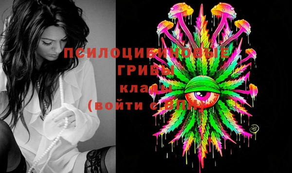 Альфа ПВП Волосово