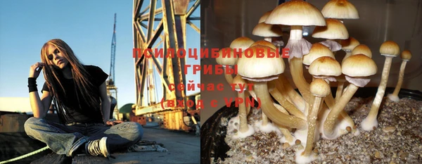 каннабис Верхний Тагил