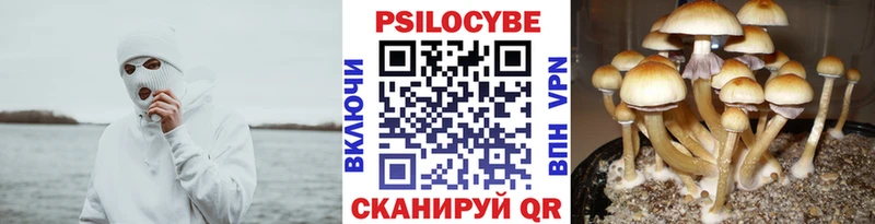 Галлюциногенные грибы ЛСД где продают наркотики Дмитров