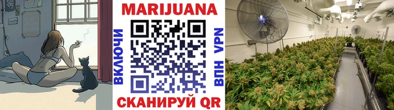 кракен   Дмитров  Шишки марихуана индика 